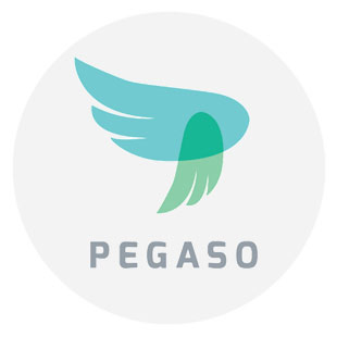 Gruppo SIGLA Genova - Progetto PEGASO